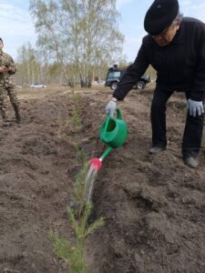 В Петропавловске прошла акция «Посади дерево» 9 В Петропавловске прошла акция «Посади дерево»
