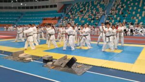 Североказахстанские каратисты завоевали 68 медалей, став лучшими в республике