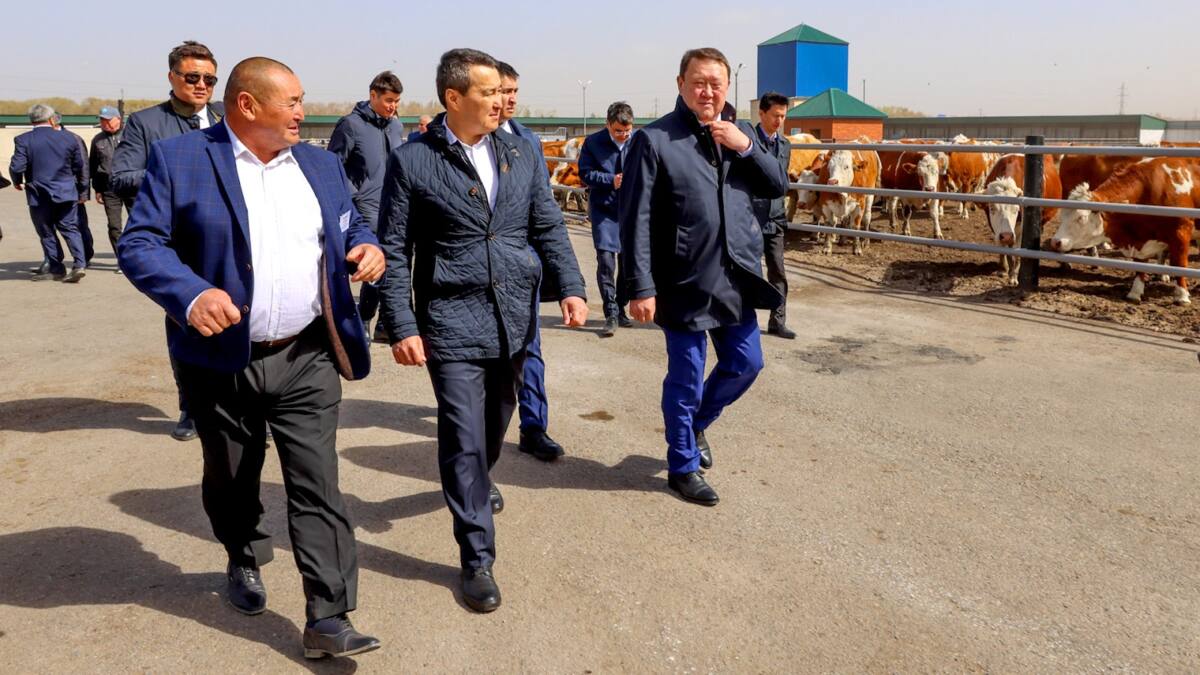 Глава Правительства встретился с североказахстанскими аграриями 9 Глава Правительства встретился с североказахстанскими аграриями