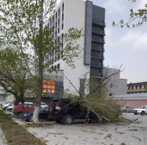 Сильный ветер сорвал крышу здания и повалил дерево в Петропавловске