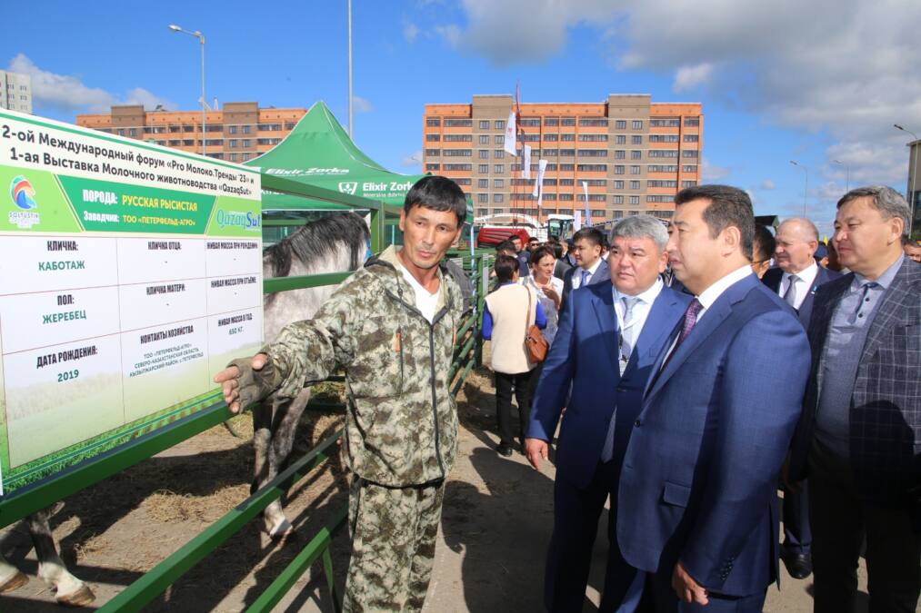 Форум «Pro Молоко. Тренды ‘23» и выставка «QazaqSut» проходит в Петропавловске 5 Форум «Pro Молоко. Тренды ‘23» и выставка «QazaqSut» проходит в Петропавловске