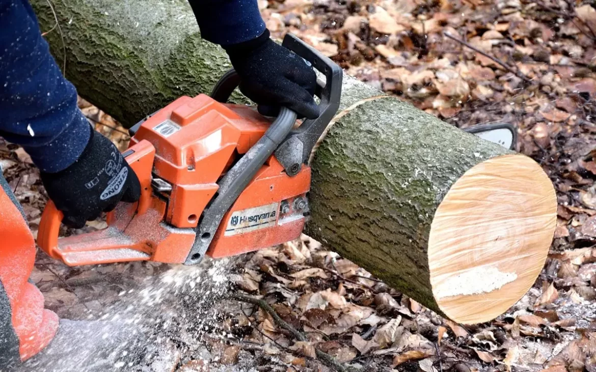 e03b98fb-c219-438d-9a28-ba07d2066aec (1)