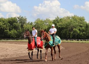 Камыскулак и Аквамарин готовятся к главному старту