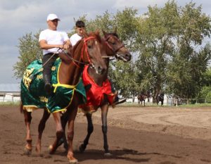 Камыскулак и Аквамарин готовятся к главному старту