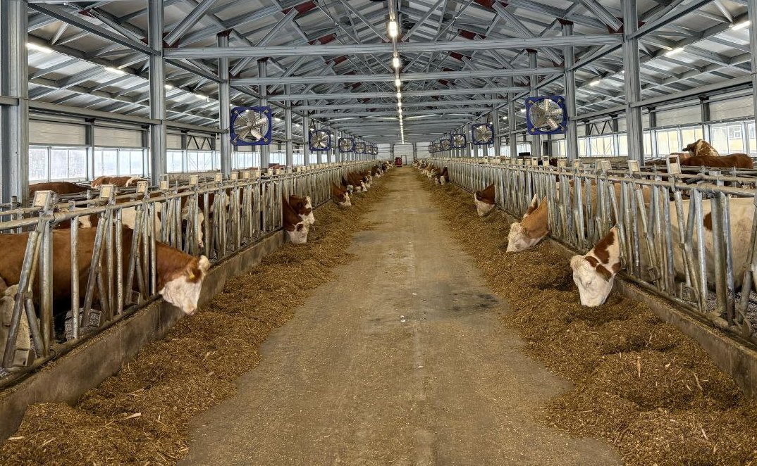 Аграрий из СКО вкладывает средства в развитие села 9 Аграрий из СКО вкладывает средства в развитие села