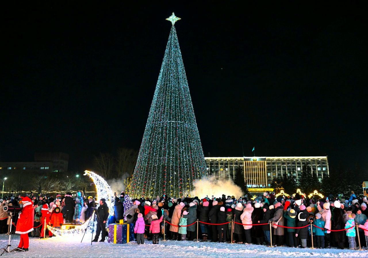 Главную новогоднюю елку зажгли в Петропавловске 8 Главную новогоднюю елку зажгли в Петропавловске